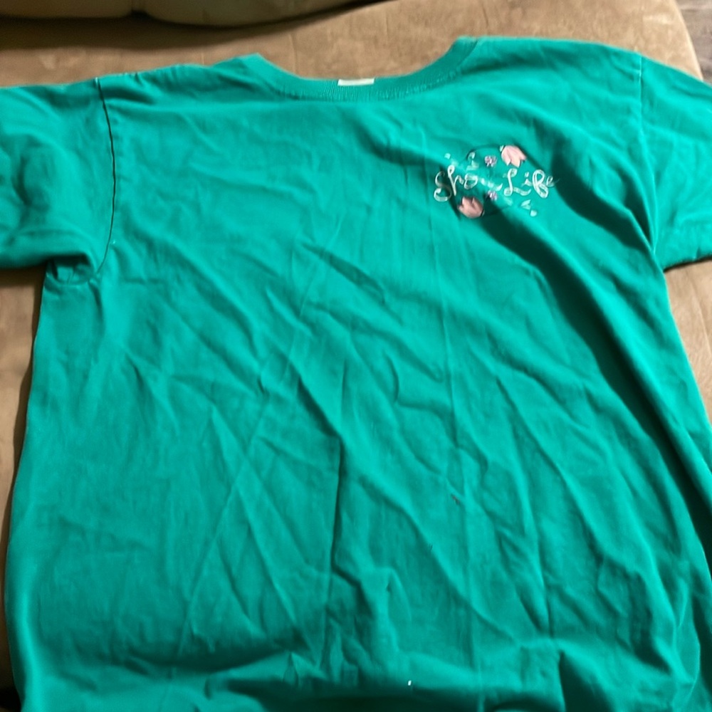 Cute teal shirt